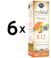 Produktbild: 6 x Garden of Life Mykind Organics B-12 Organic Spray, (316,06 EUR/kg)