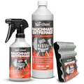 Produktbild: bio-chem Rauchharz-Entferner - 500 ml + 1000 ml Nachfüllflasche + Reinigungsschwamm - Backofen- und Grillreiniger Konzentrat für Gasgrill, Edelstahl, Gusseisen u.v.m.