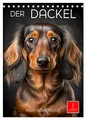 Produktbild: Der Dackel - klein aber mutig (Tischkalender 2026 DIN A5 hoch), CALVENDO Monatskalender: Der Dackel - ein Hund mit ausgeprägtem Charakter (CALVENDO Tiere)