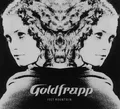 Produktbild: Goldfrapp - Felt Mountain