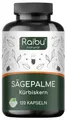 Produktbild: Saw Palmetto (Sägepalme) Kapseln, 20:1 Extrakt, Hergestellt in Deutschland - RAIBU