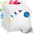 Produktbild: wometo 4er Set Federkissen 100% Federn 40x40 - 300g OEKO-TEX Kissen Füllkissen Bezug Baumwolle weiß / Innenkissen / Kissenfüllung / kleine Kopfk... - Weiß