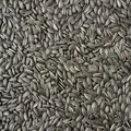 Produktbild: 30kg Sonnenblumenkerne Schwarz Vogelfutter Ganzjahresvogelfutter Vögel 30 kg TOP
