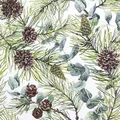 Produktbild: Home Fashion 20 Servietten Winter Eukalyptus und Zapfen als Tischdeko. Papierservietten weihnachtlich mit Motiv. Auch für Decoupage und Serviettentechnik 33x33cm