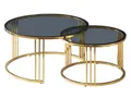 Produktbild: 2er-Set Couchtisch Ziertisch Glastisch 60x60cm 80x80cm Gold Rauchglas 87081770