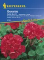 Produktbild: Kiepenkerl 3720 Geranie Orbit Rot F1 (Geraniensamen)