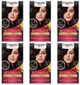 Produktbild: 6x Palette Intensiv Creme Coloration 4-0/800 Dunkelbraun (6er Pack)