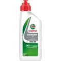 Produktbild: Castrol Garden 4T 10W-30 1 Ltr. Dose