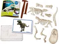 Produktbild: T-Rex Ausgrabungs-Set Clementoni Galileo Discovery Dinosaurier Fossilien ab 7