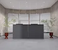 Produktbild: EIGENTLICH Empfangstheke modular moderne Rezeptionstheke Empfangstresen Hotellobby Empfangsbereich Bürotheke Praxistheke mit großer Arbeitsfläche Farbe anthrazit 240x75x110,5cm