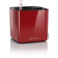 Produktbild: Lechuza Übertopf CUBE Glossy 14, rot hochglanz, 14 x 14 x 14 cm, aus Kunststoff, für innen, mit Wasserspeicher und Innentopf