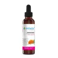 Produktbild: Sanddornöl Reines Sanddorn-Trägeröl 50 ml