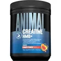 Produktbild: Animal Creatine HMB+ - 330g - Power Punch