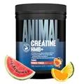 Produktbild: ANIMAL Creatine HMB+ - Kreatin-Monohydrat-Pulver mit HMB & Elektrolyten - unterstützt Muskelwachstum, Regeneration & Ausdauer - mit Power Punch, 30 Portionen
