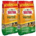 Produktbild: Substral 8243 Herbst Rasendünger 25 kg für 1000 m²