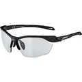 Produktbild: ALPINA Sportbrille/Sonnenbrille 