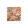 Produktbild: Ambiente servetten orange autumn 33cm