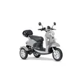 Produktbild: ENEWAY 3-Rad E-Mobil Modena II 25 km/h E-Trike ETrike Elektrofahrzeug Mobilitätsfahrzeug silber