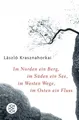 Produktbild: László Krasznahorkai / Krasznahorkai, László/Im Norden ein B ... 9783596172436
