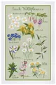 Produktbild: Ulster Weavers Geschirrtuch Irish Wildflowers, (1-tlg., 1-teilig), 100% Baumwolle 48x74cm Küchentuch