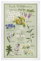 Produktbild: ULSTER WEAVERS Geschirrtuch Küchentuch Baumwolle ca.48x74cm Irish Wildflowers