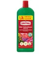 Produktbild: Substral Balkonpflanzen Nahrung Flüssigdünger, 1,3 Liter mit Humifirst & Eisen, Kraftvolles Pflanzenwachstum & Blütenpracht