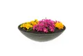 Produktbild: matches21 HOME & HOBBY Blumentopf Flache Pflanzschale für draussen Dekoschale rund schwarz 25 cm (1 St), Blumen-Schale als wetterfeste Friedhof-Schale Grab-Schmuck Grabschale