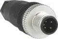 Produktbild: Stecker M12 gerade XZCC12MDM40B (XZCC12MDM40B)