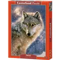 Produktbild: Castorland Lone Wolf, Puzzle 500 Teile (500 Teile) (B-52431)