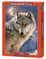Produktbild: Castorland B-52431 Puzzle Lone Wolf, 500 Teile, bunt, 35 x 25 x 5 cm