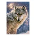 Produktbild: Selecta Castorland Puzzle „Einsamer Wolf“, 500 Teile.
