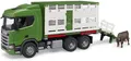 Produktbild: Bruder Scania Super 560R Tiertransport-LKW mit 1 Rind 03548