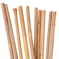 Produktbild: UNUS® Bambusstäbe 10 Stück , Rankstäbe, Pflanzenstäbe Bambus 105cm naturfarbend