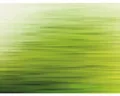 Produktbild: Fototapete Vlies 38261-1 The Wall Farbverlauf grün 7-tlg. 371 x 280 cm