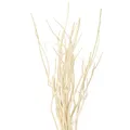 Produktbild: Mitsumata Zweige Weiß Deko 34-60cm 12 St Naturdeko Asiatisch Maritim, 12 Stück
