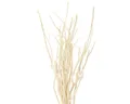 Produktbild: Trockenblume Mitsumata Zweige Weiß Deko 34-60cm 12 St Naturdeko Asiatisch, 12 Stück, Viana, Höhe 2 cm