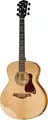 Produktbild: Taylor Gold Label 814e Koa
