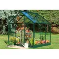 Produktbild: Halls Gewächshaus Popular 3,8 m² - Grün 3 mm Sicherheitsglas 195 x 193 x 196 cm