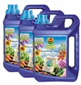 Produktbild: 3 x Compo Blaukorn Novatec Nova Tec flüssig 2,5 Liter NPK Blumendünger Garten