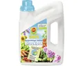 Produktbild: Blaukorn COMPO NovaTec flüssig 2,5L