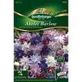 Produktbild: Akelei, Barlow Choice Mischung
