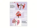 Produktbild: OLYMPIA Laminiertaschen DIN A4, 100 Stk 9166