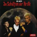Produktbild: Die Ärzte / IM SCHATTEN DER ÄRZTE (LP) / Sony / 19075996611 / 12 Inch