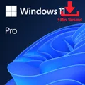 Produktbild: Microsoft Windows 11 Pro 64bit (1 PC - perpetual) ESD