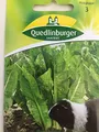 Produktbild: Blattzichorie (f.Futterzwecke) QLB Basis Saatgut Gründüngung