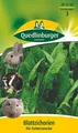 Produktbild: Blattzichorie (für Futterzwecke) Samen von Quedlinburger Saatgut