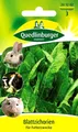 Produktbild: Blattzichorien - wertvolle starkwüchsige Futterpflanze für Kleintiere - Samen