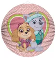 Produktbild: Laterne Paw Patrol rund Skye&Everest D 25cm schwer entflammb
