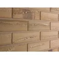 Produktbild: Elabrick Verblender Corsica 24 cm x 7,1 cm