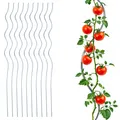 Produktbild: Tomaten Spiral Stab 110 cm verzinkt 10er Set - Garten Rank Kletter Pflanze Hilfe